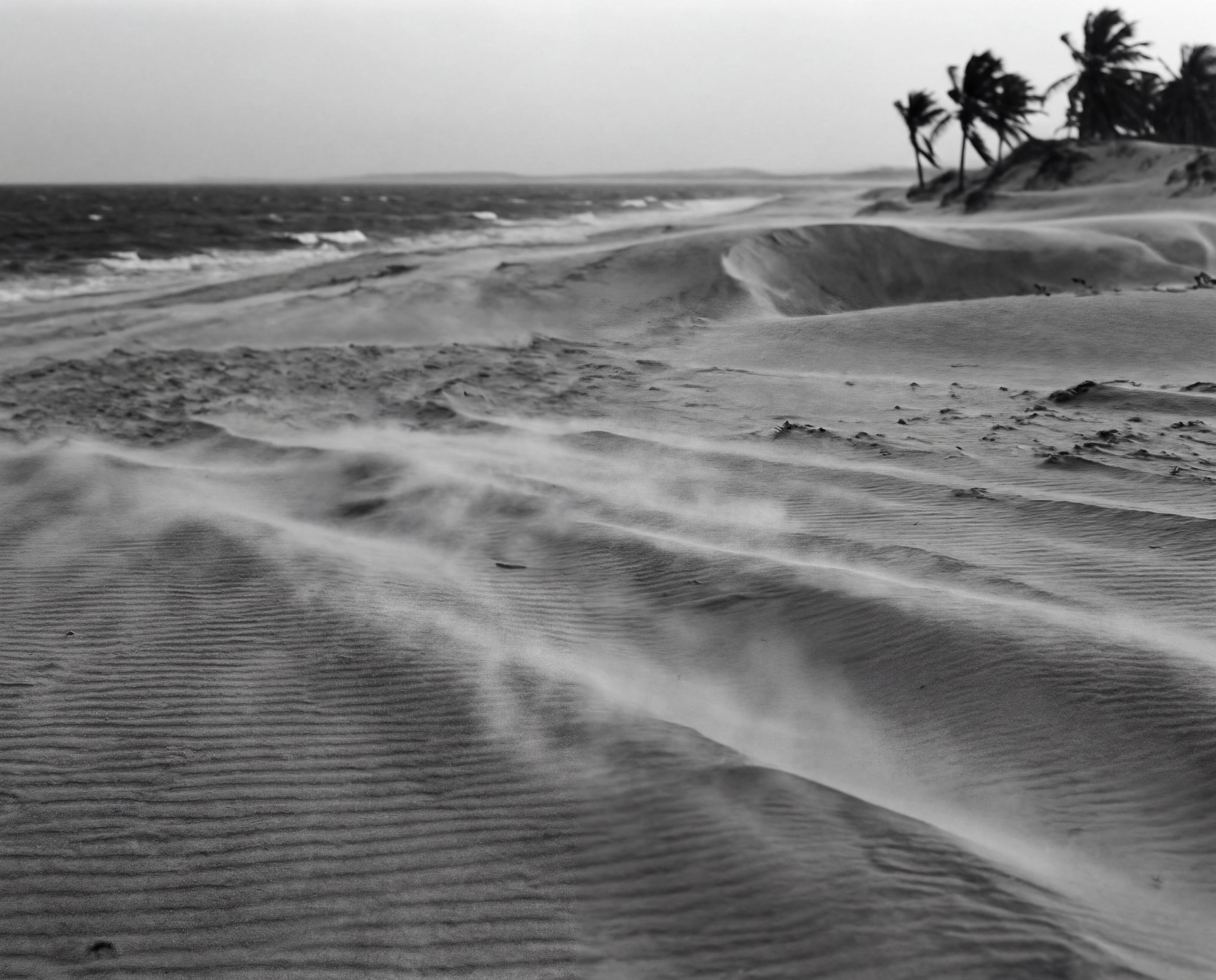 Black and white photograph of daily life in Jericoacoara.