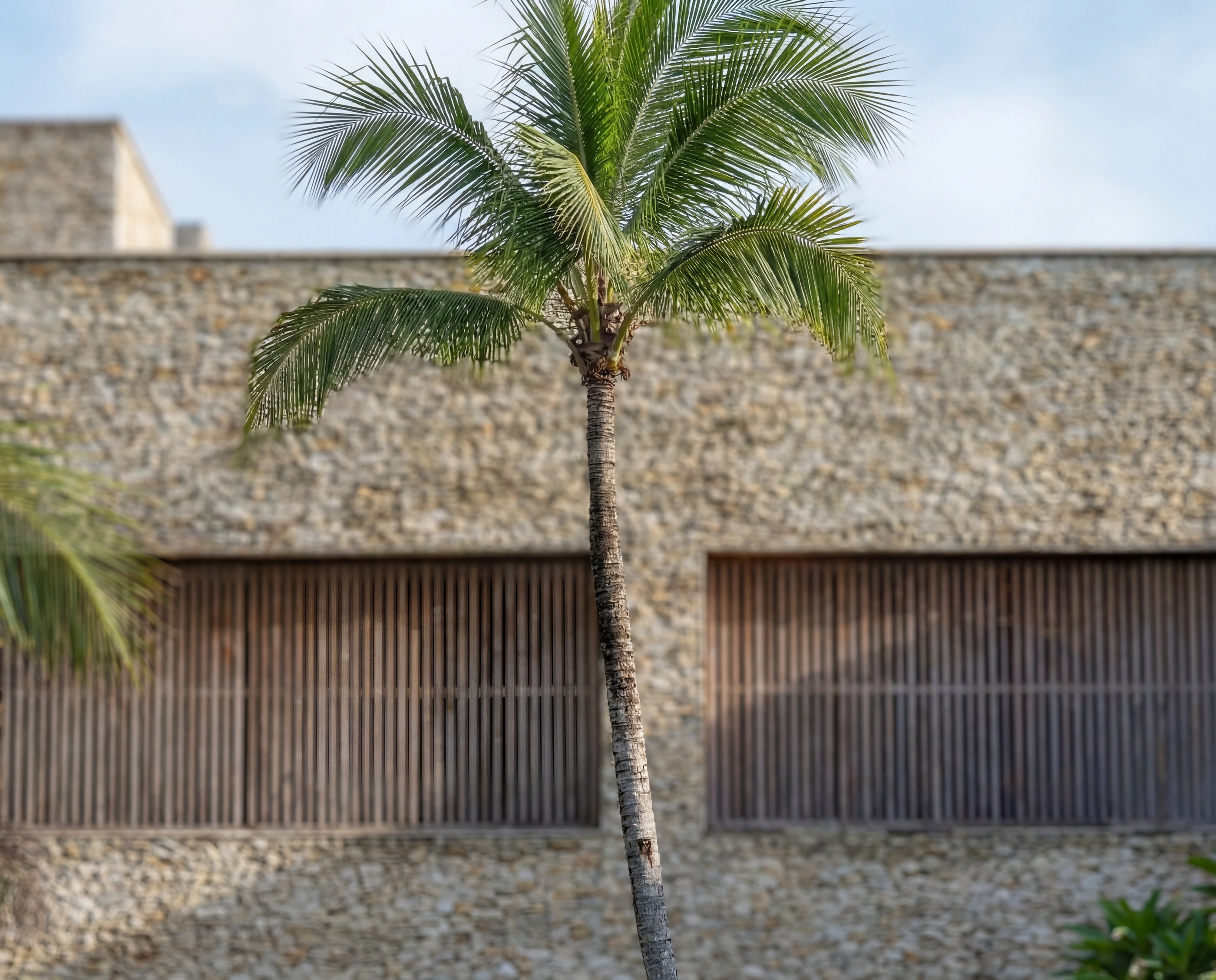 palm stacked stone facade