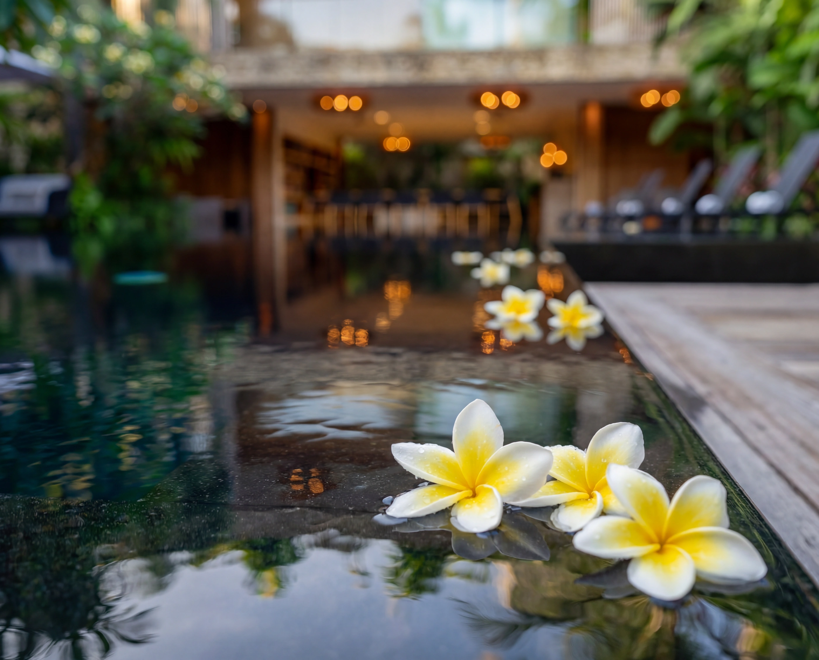 frangipani pool lights dusk